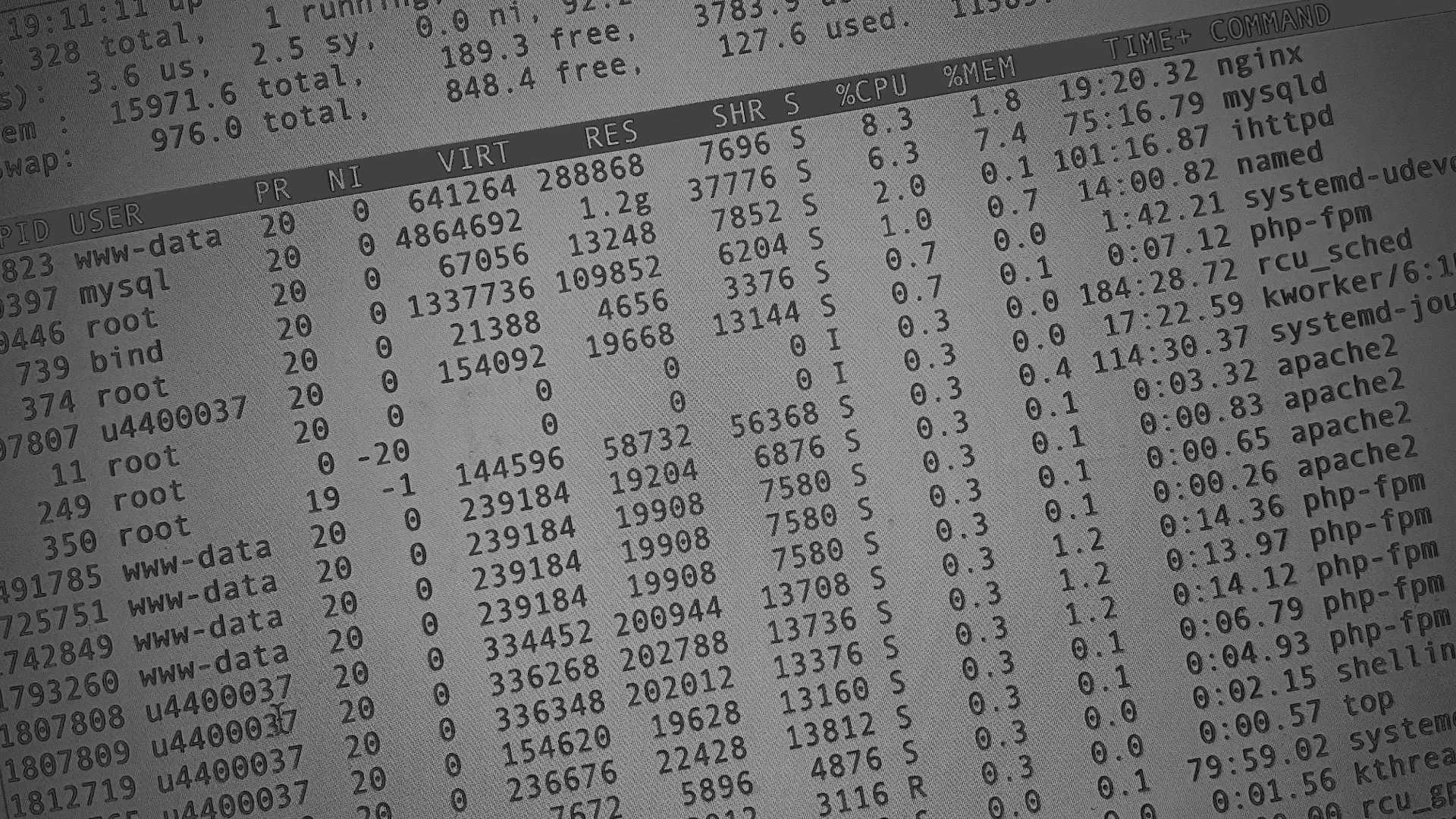 Настройка сервера в Шебекино