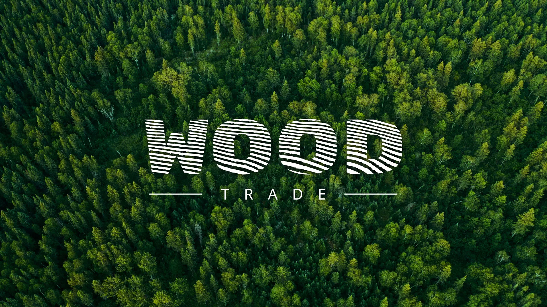 Разработка интернет-магазина компании «Wood Trade» в Шебекино