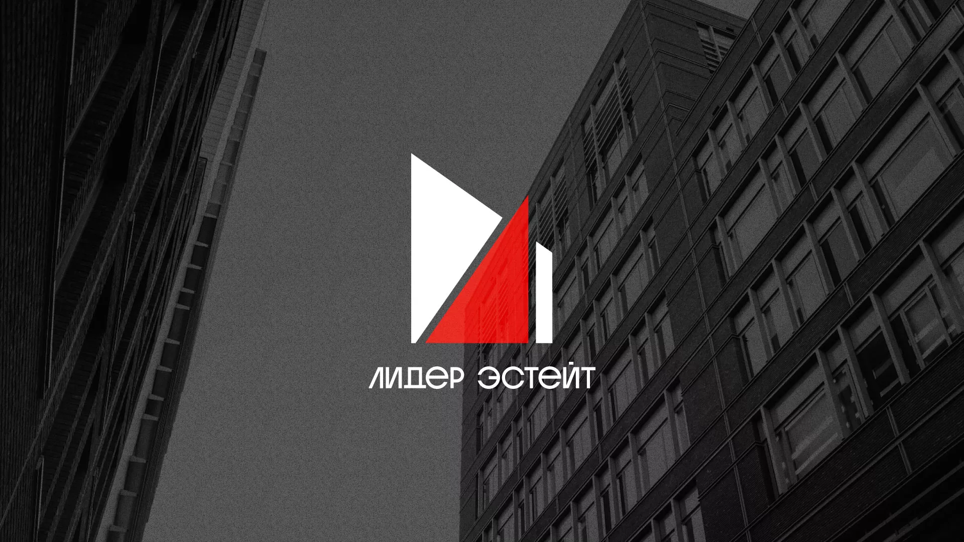 Сделали логотип для агентства недвижимости «Лидер Эстейт» в Шебекино